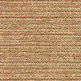 Celsius Anabas 052 Apricot