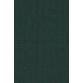 Sunbrella Solids Pinea 3998